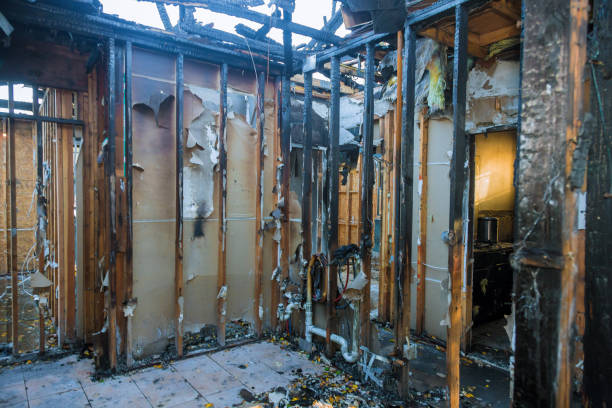 Professional Fire Damage Assessment technician working in Paloma Creek, TX